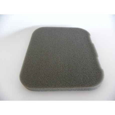 FILTER ZRAKA 1P65FE (WB455)